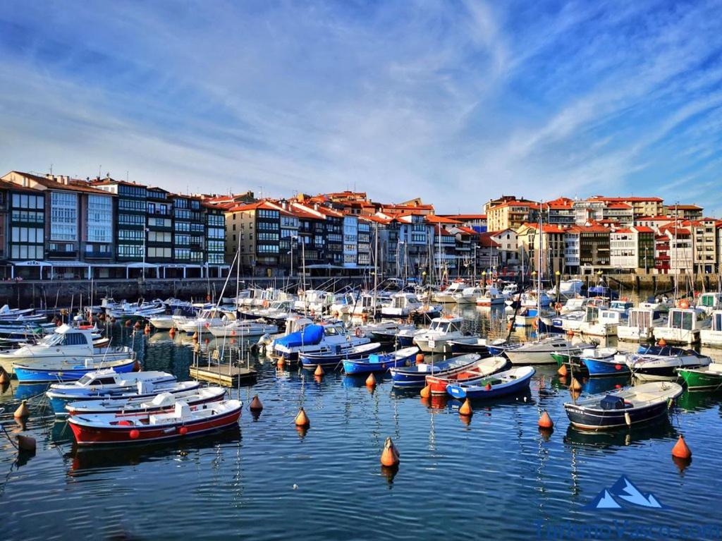 Coqueto Apartamento En El Casco Viejo Лекеитио Екстериор снимка